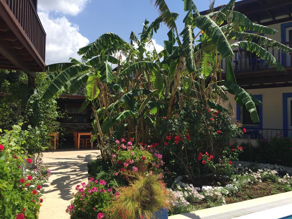 Aparthotel Paradise Garden