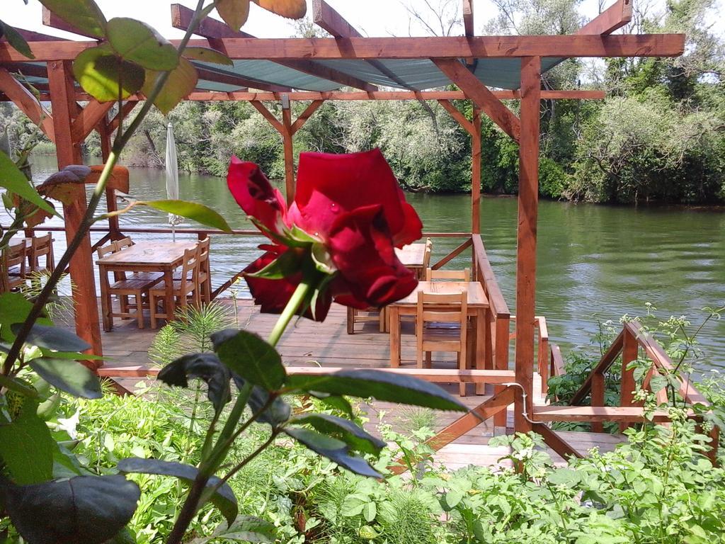 Bed & Breakfast Vira Creek House