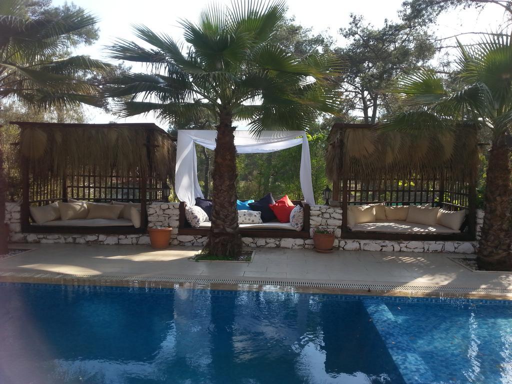 Apartment Kekikhan Olympos