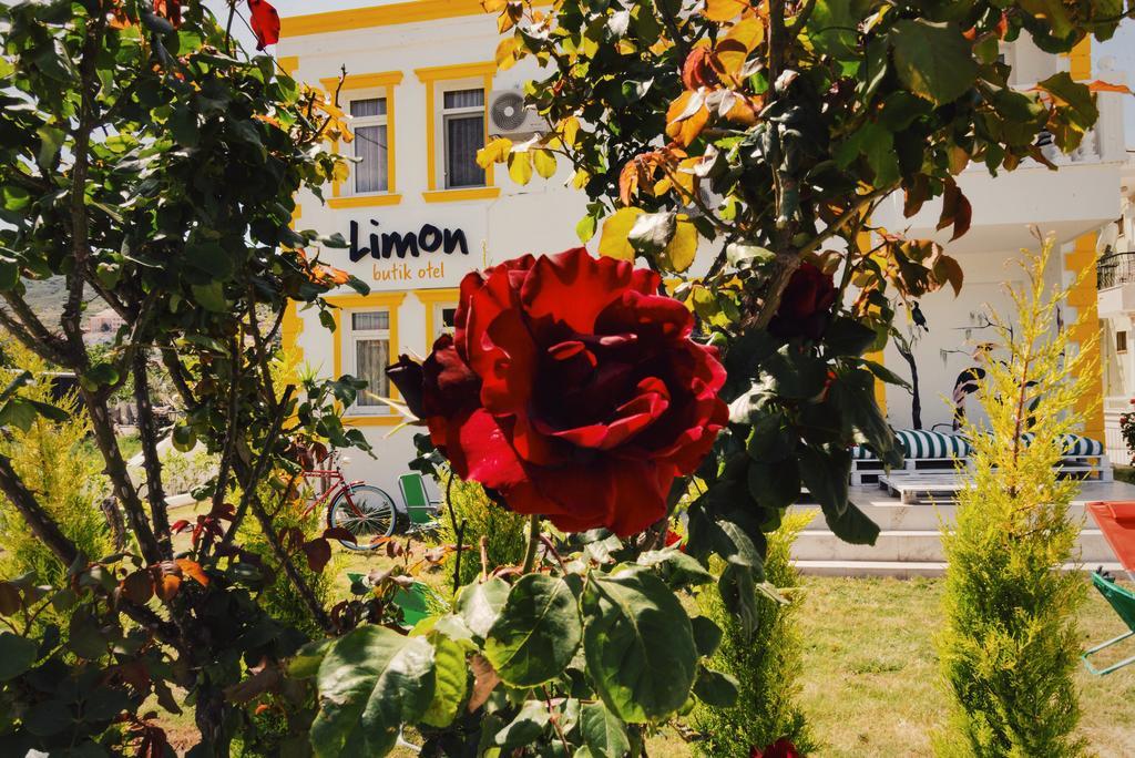 Bed & Breakfast Limon 3*
