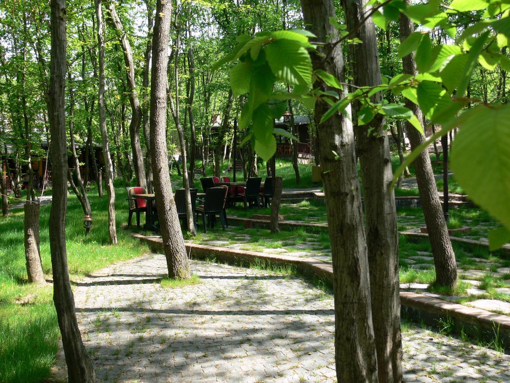Dolunay Fanizan Fatsa