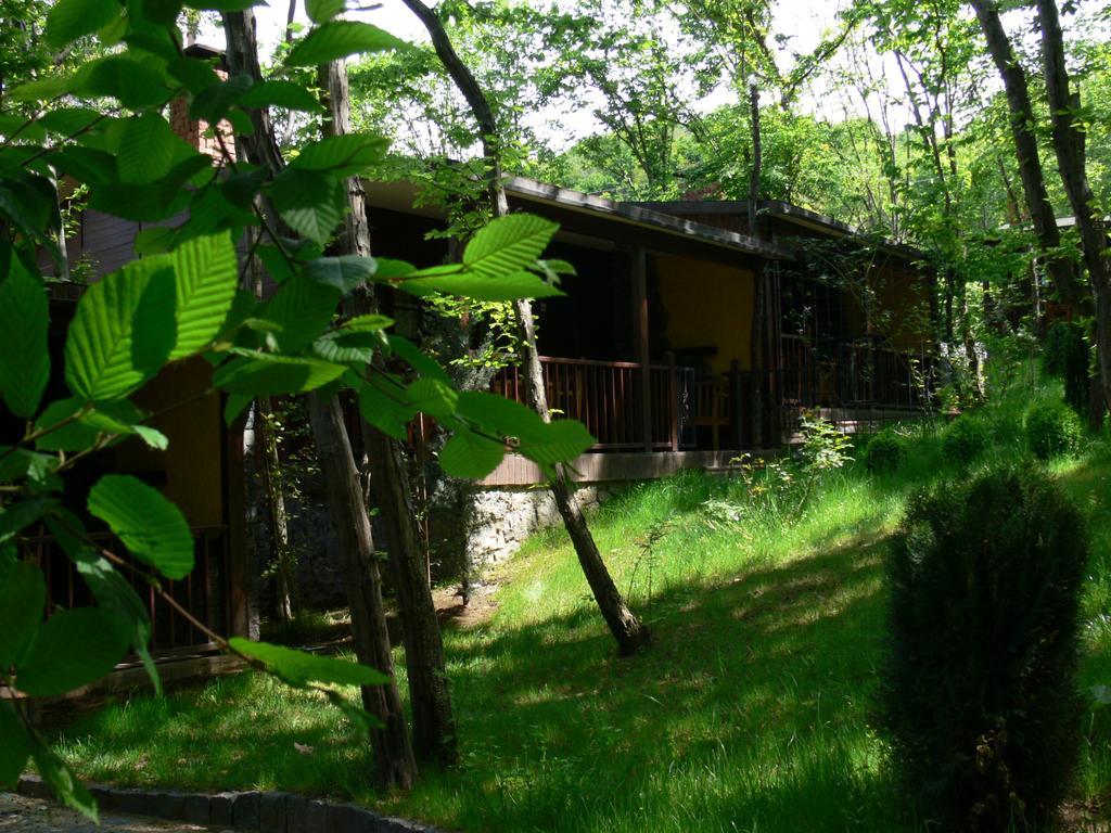 Hotel Dolunay Fanizan *