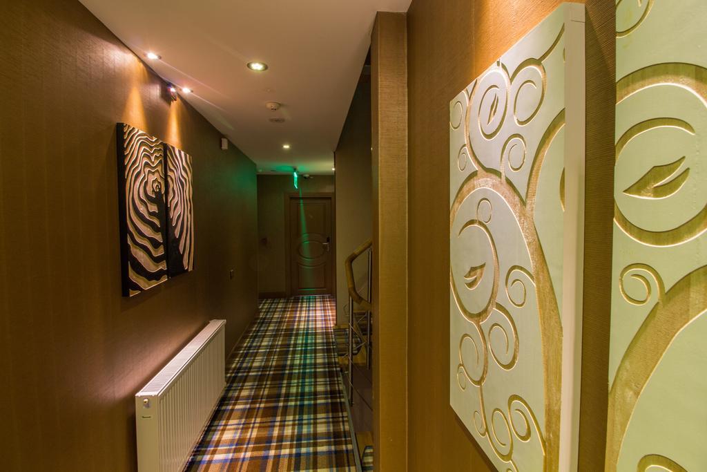 Hotel Ayderoom