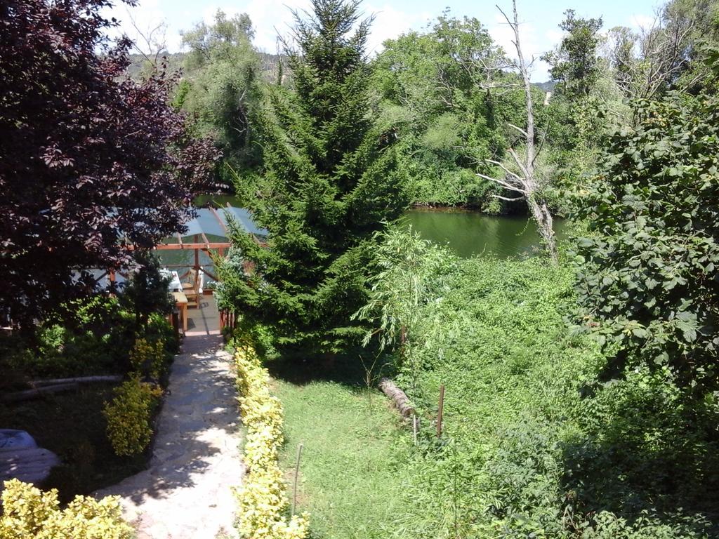 Bed & Breakfast Vira Creek House