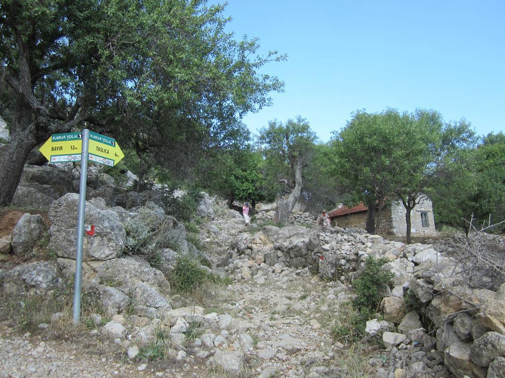 Guest house Saranda Sogut (Aegean)