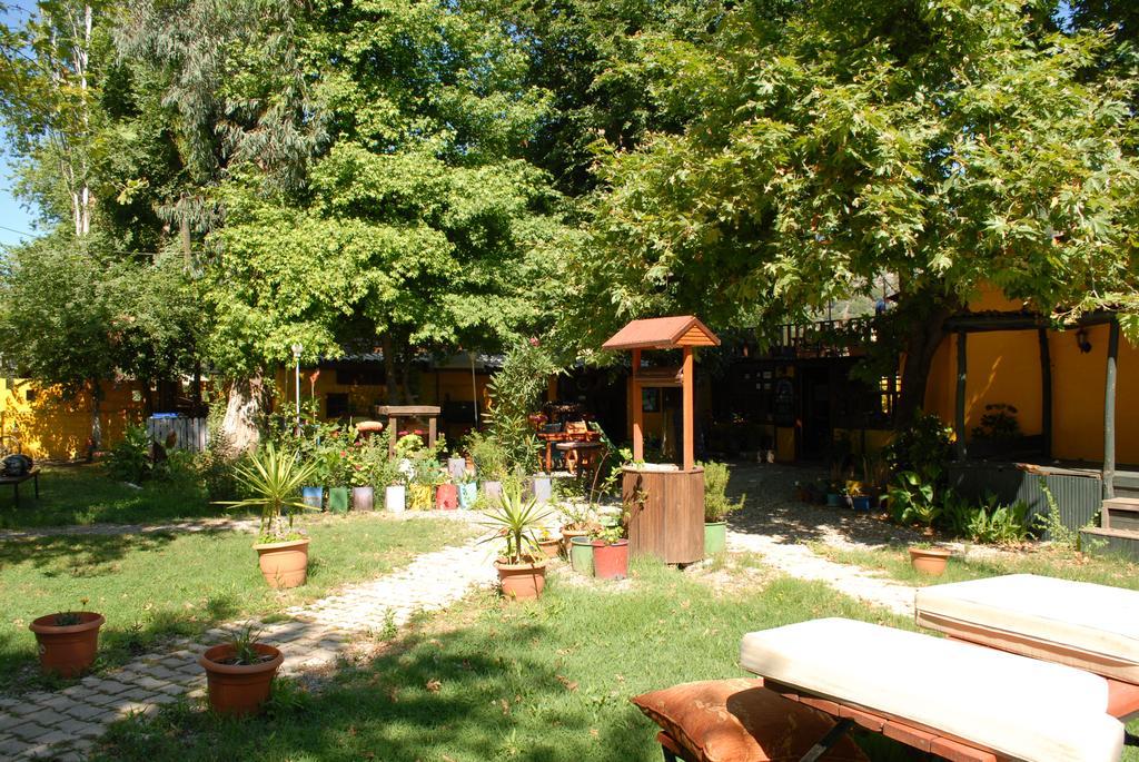 Lodge Camping