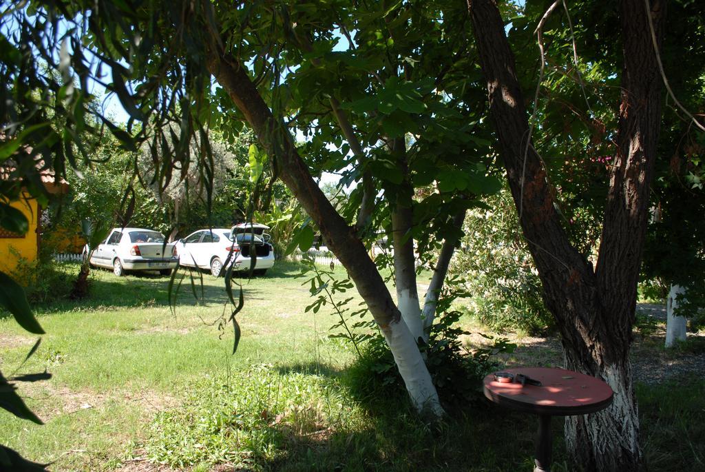 Lodge Camping