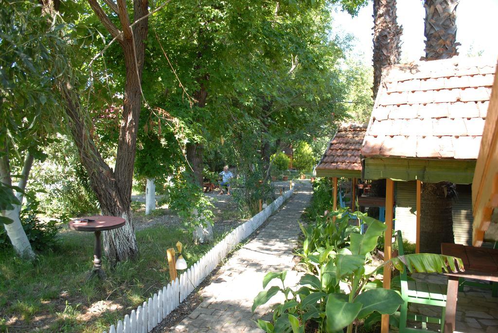 Lodge Camping