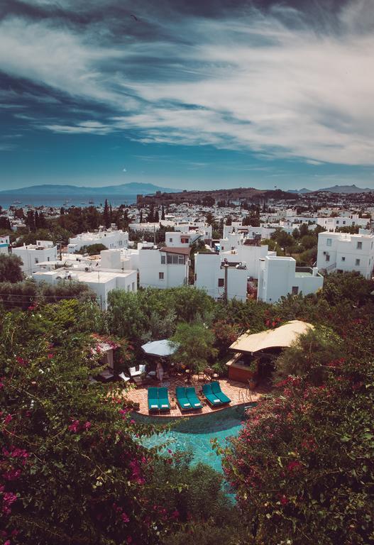 Hotel El Vino &