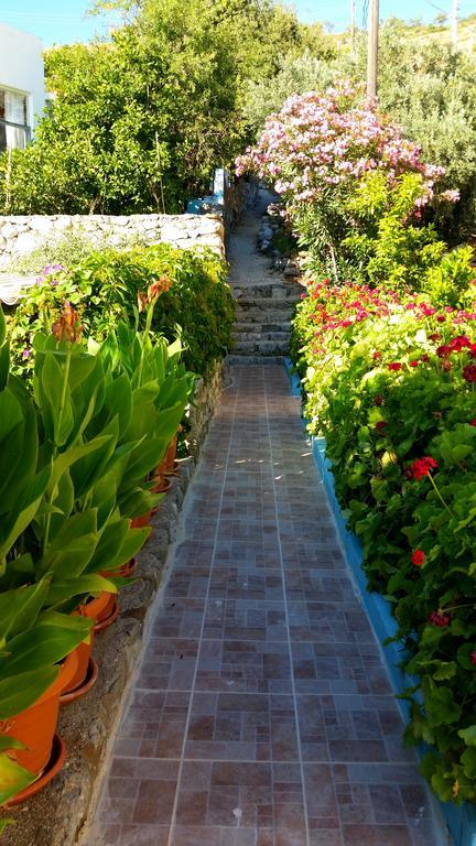 Homestay Yuksel Sogut (Aegean)