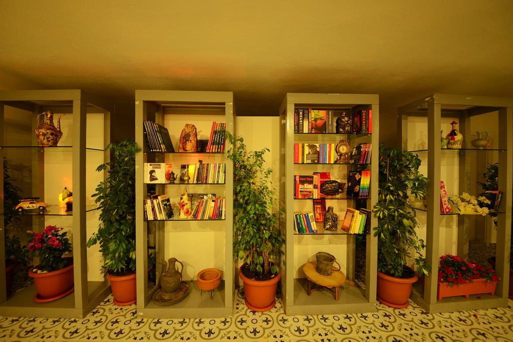 Homestay Neruda