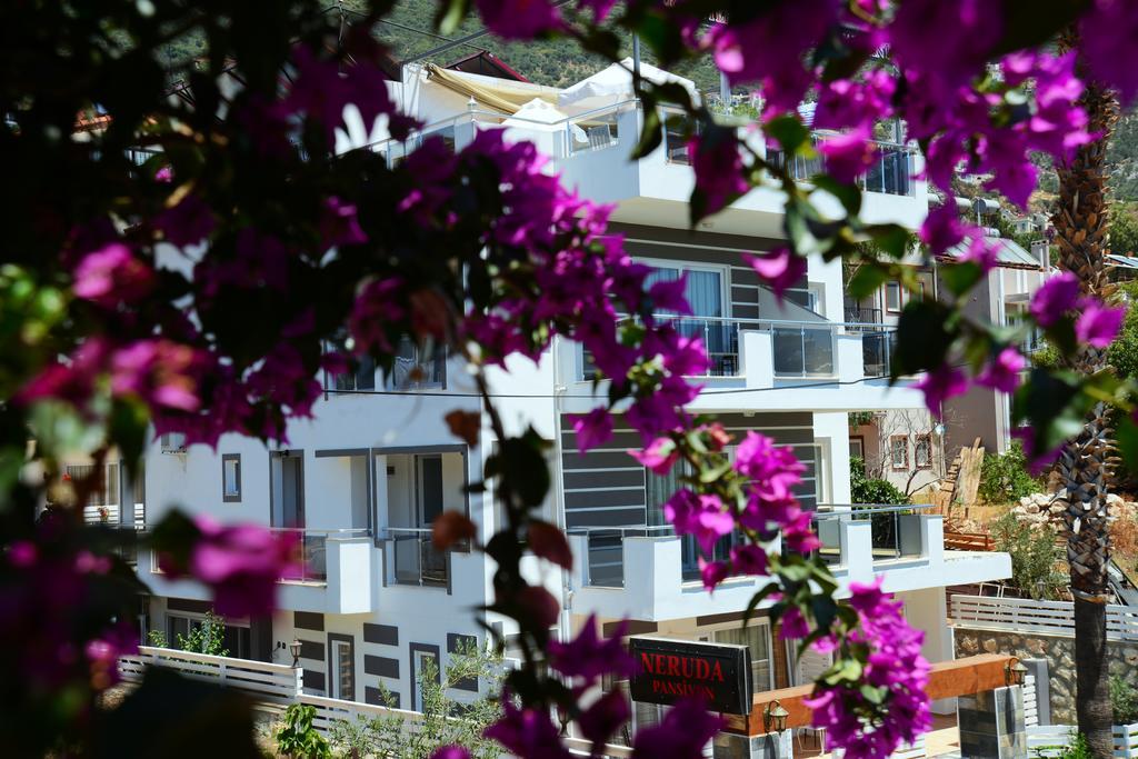 Neruda Kalkan