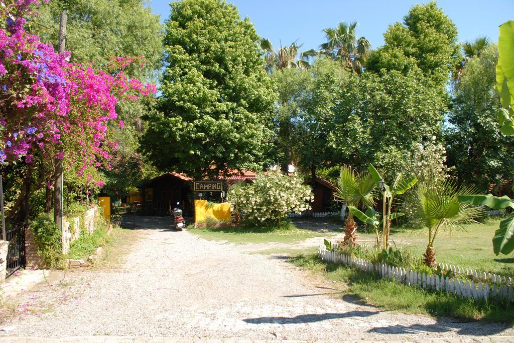 Lodge Camping