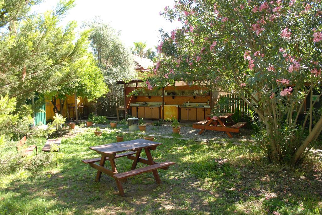 Lodge Camping