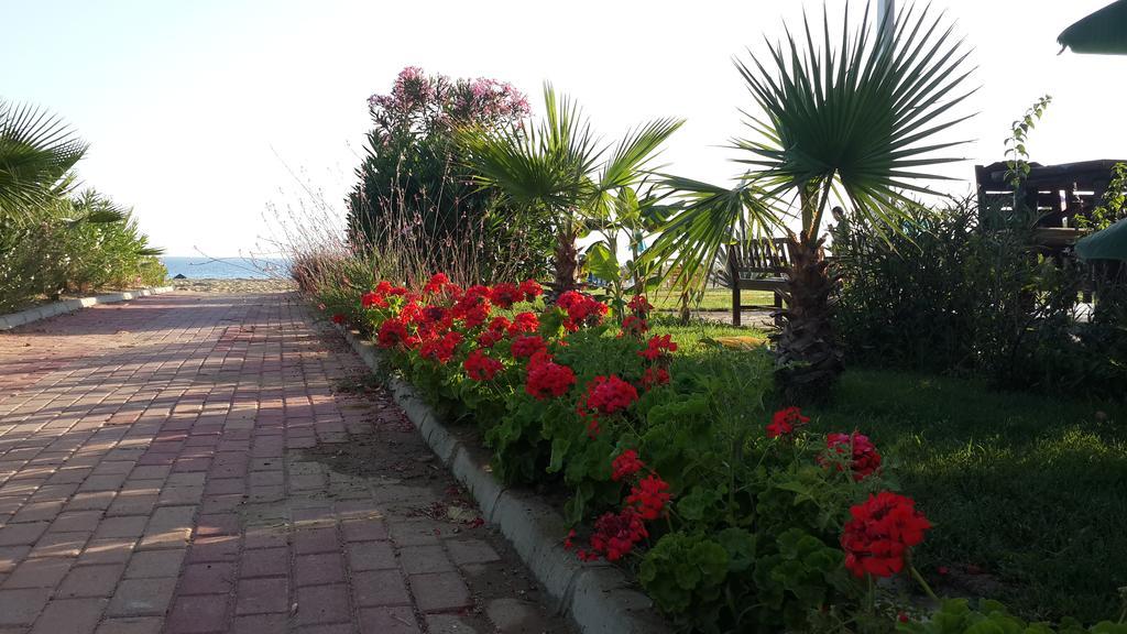 Hotel Skys Kizilot