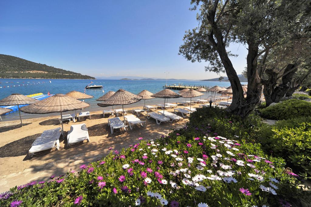Resort Izer Club Torba