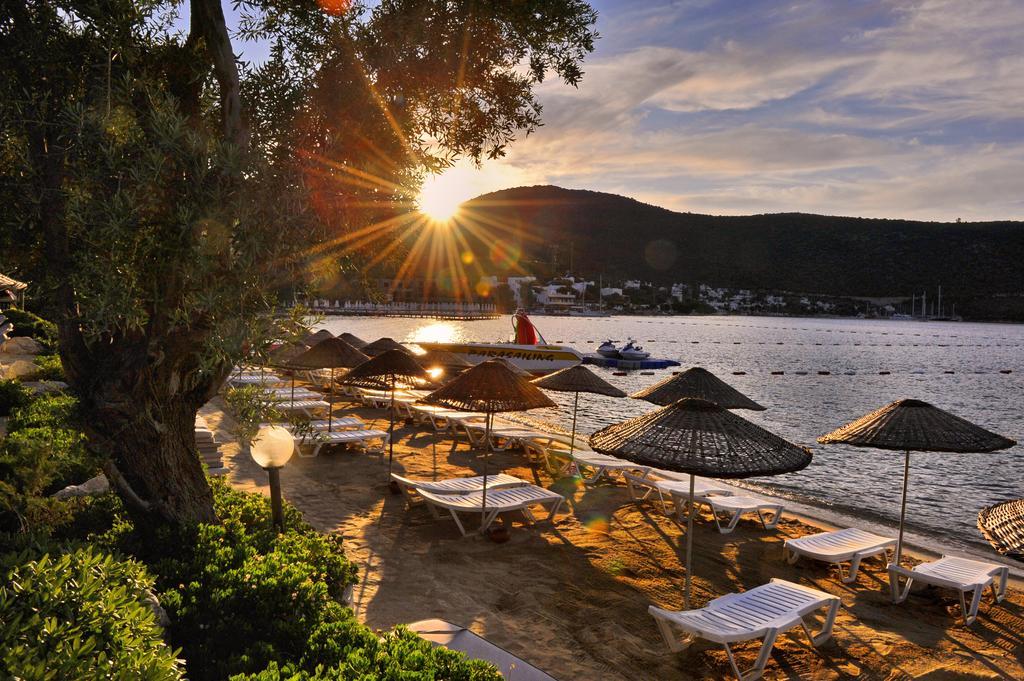 Resort Izer Club Torba