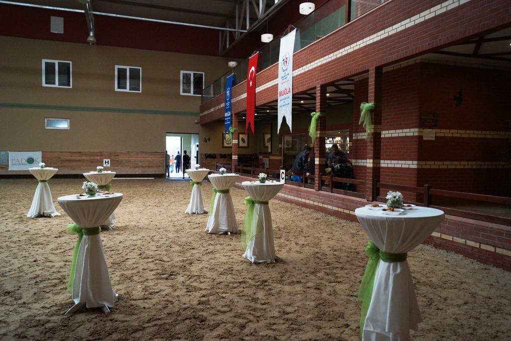 Hotel Padok Premium & Stables 4*