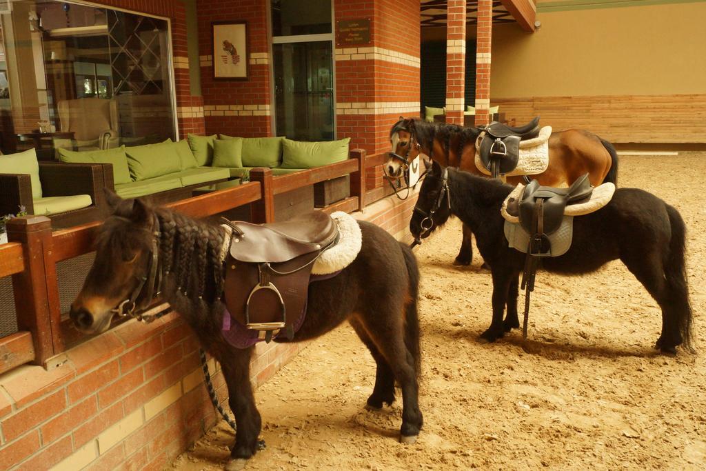 Hotel Padok Premium & Stables 4*