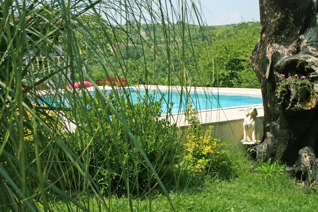 Hotel Ormanevi Otantik *