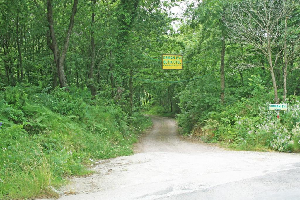 Ormanevi Otantik