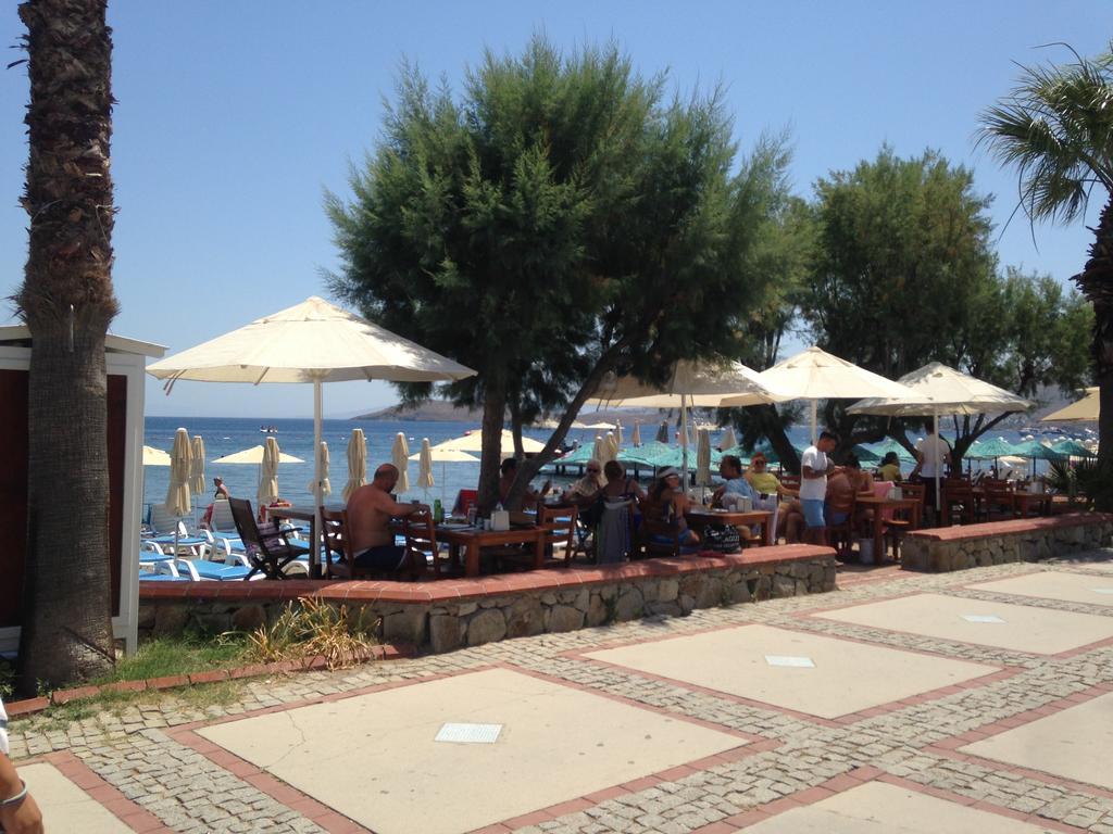 Bed & Breakfast Acelya
