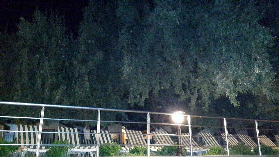 Motel Palm Beach Club
