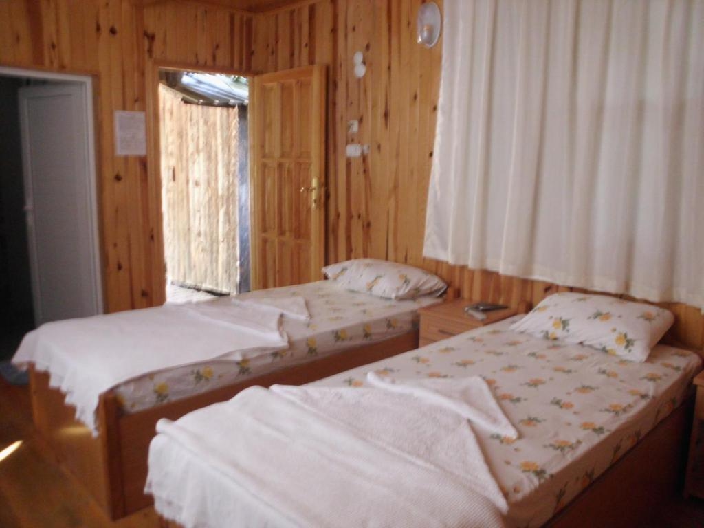 Olympos Orange