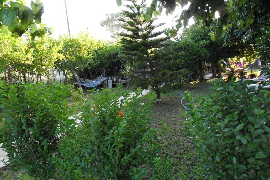 Guest house Cesur Pansiyon Cirali