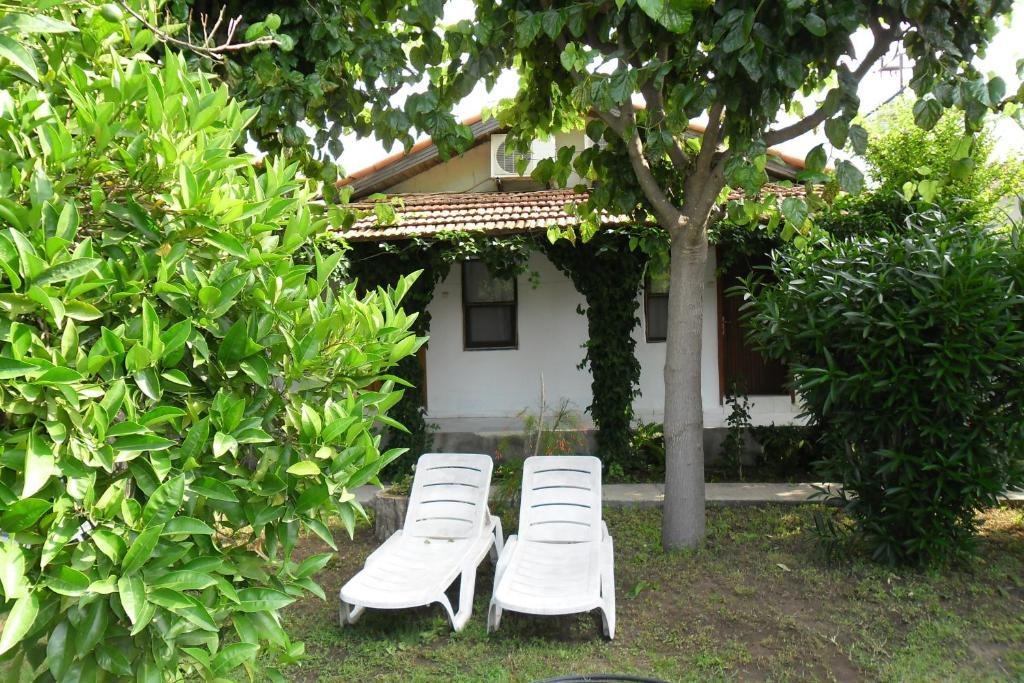 Cesur Pansiyon Guest house