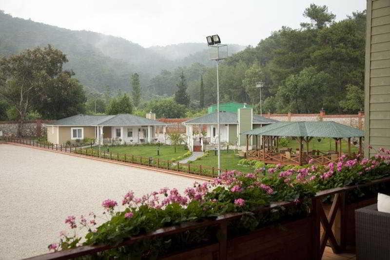 Padok Premium & Stables Hotel Gokova