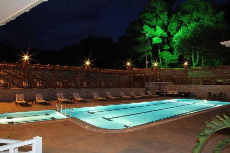 Padok Premium & Stables 4*