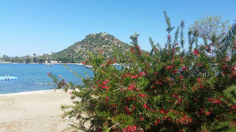 Medis 3* Cesme