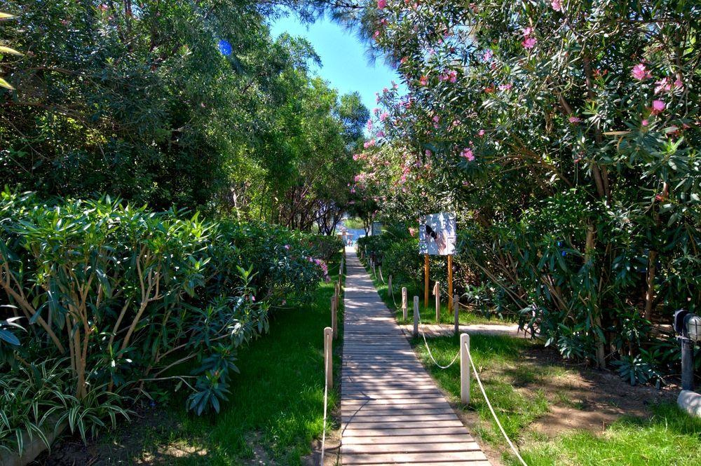 Tui Magic Life 5* Sarigerme