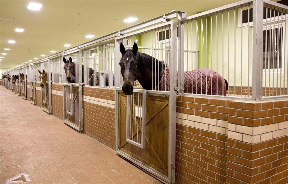 Padok Premium & Stables 4*