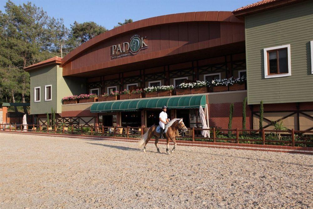 Padok Premium & Stables Hotel Gokova