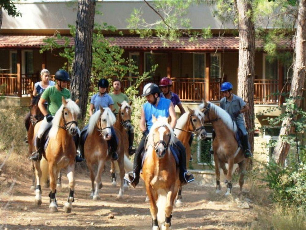Padok Premium & Stables Hotel