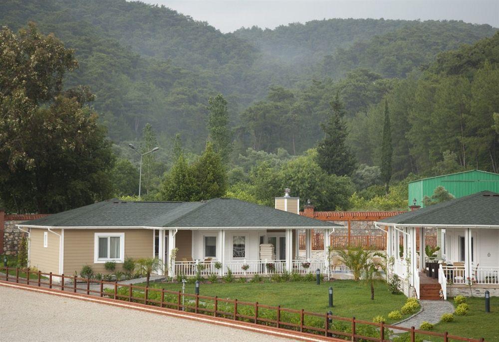 Padok Premium & Stables 4* Gokova