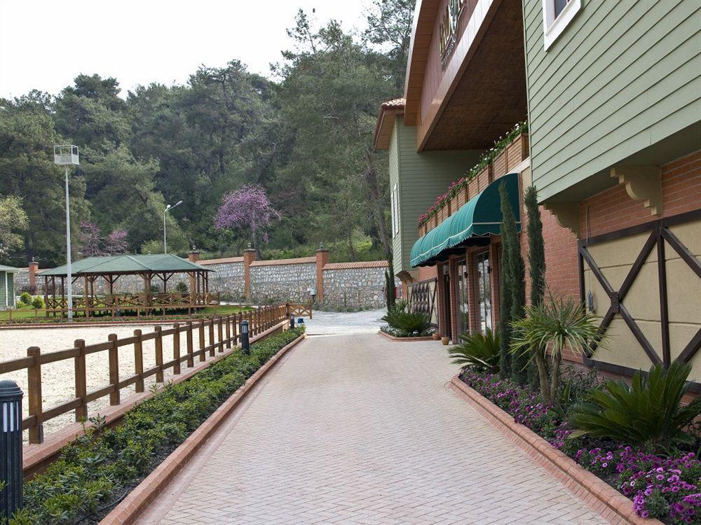 Padok Premium & Stables Hotel 4*