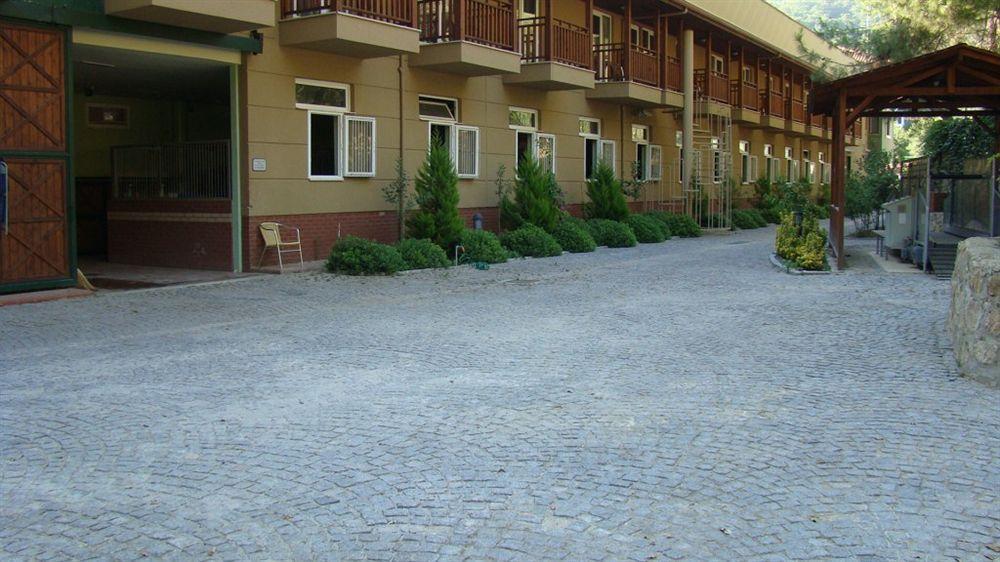 Padok Premium & Stables 4* Gokova