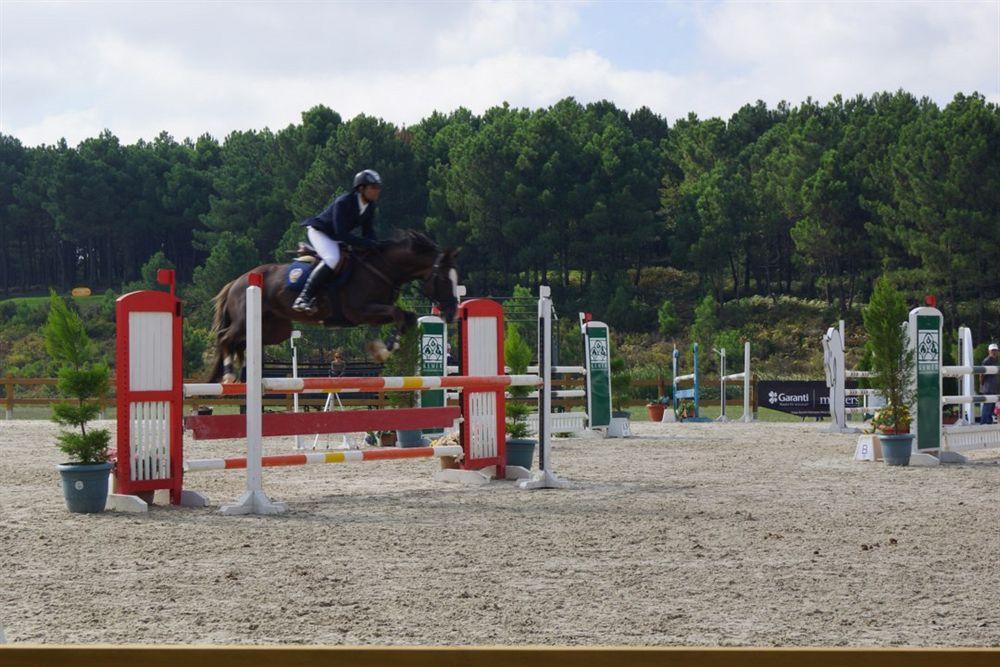 Padok Premium & Stables 4* Gokova