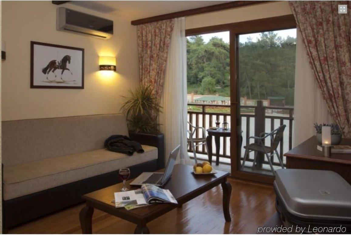 Padok Premium & Stables 4* Gokova