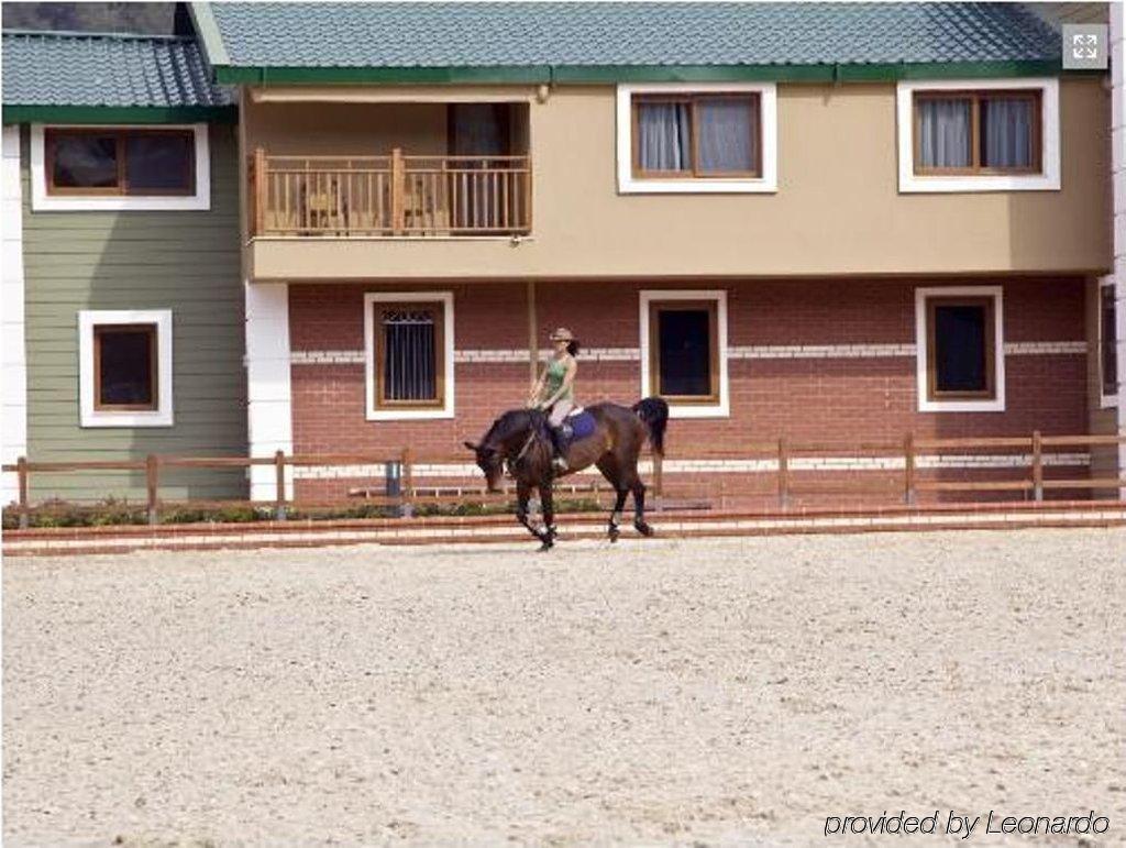 Padok Premium & Stables 4* Gokova