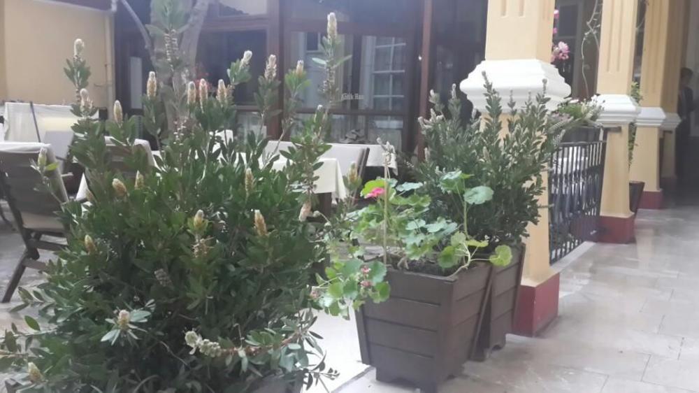 Antikhan Hotel