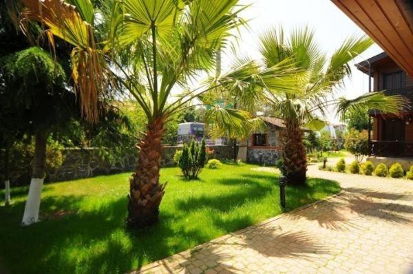 Robin's Nest Resort Agva (Marmara)