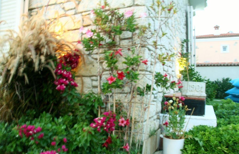 Yasemin (adults Only) 3*