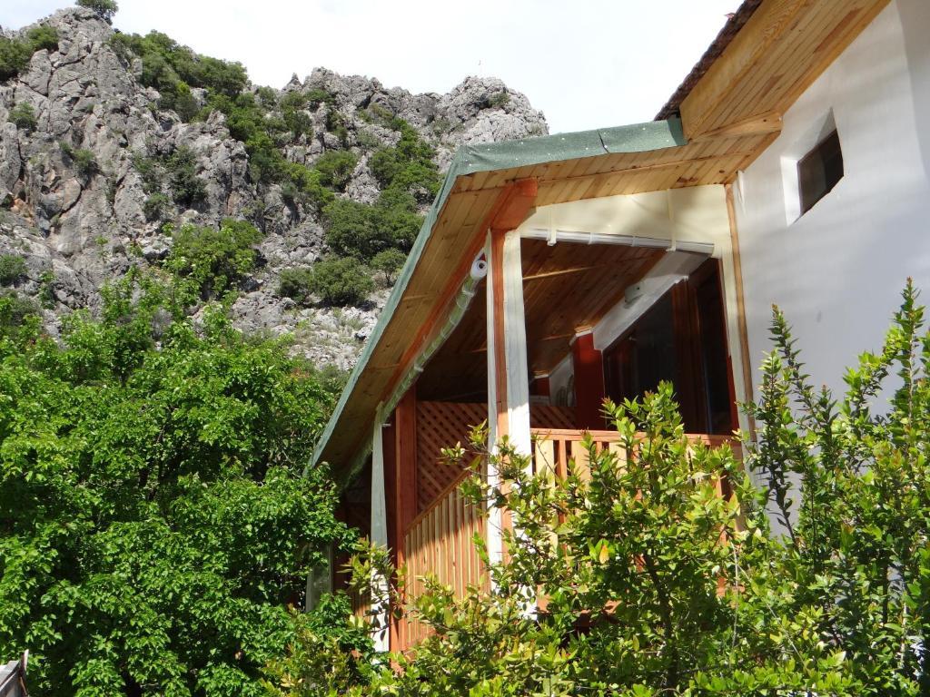 Aygun *