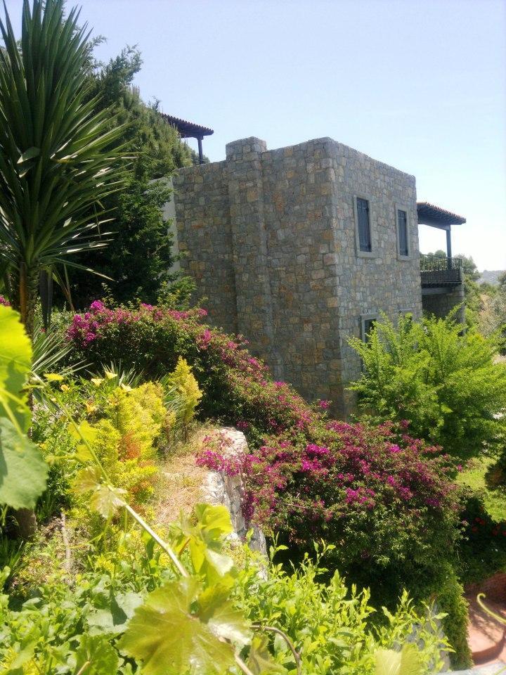Arion Hotel