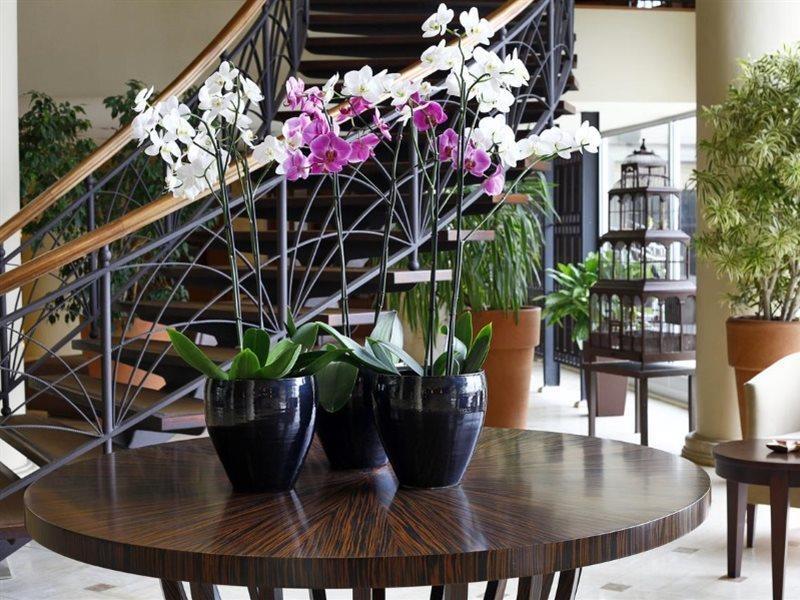 Hotel Cinar