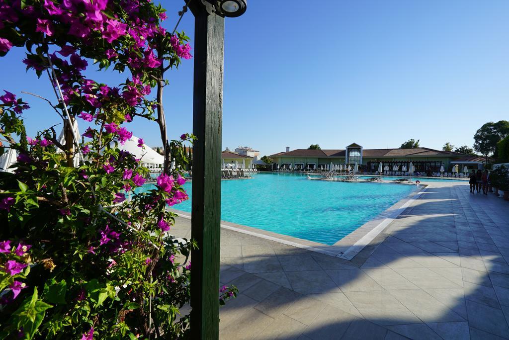 Resort Palm Wings 5*